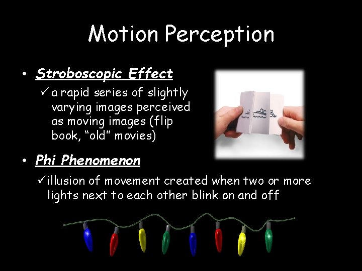 Motion Perception • Stroboscopic Effect ü a rapid series of slightly varying images perceived
