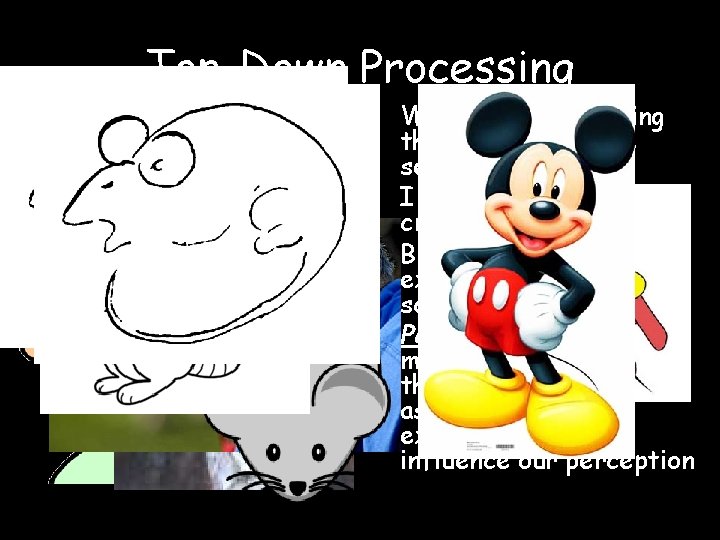 Top-Down Processing • We perceive by filling the gaps in what we sense. •