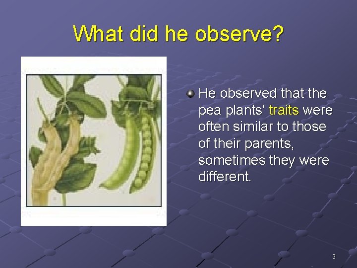 What did he observe? He observed that the pea plants' traits were often similar