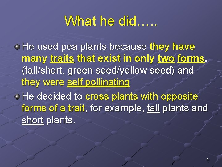 What he did…. . He used pea plants because they have many traits that