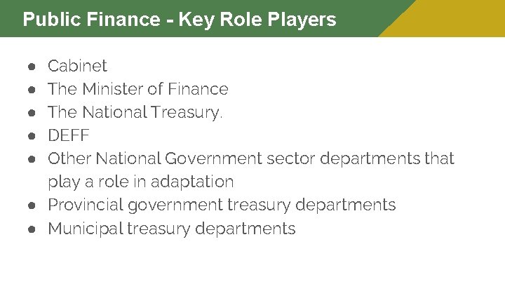 Public Finance - Key Role Players Cabinet The Minister of Finance The National Treasury.