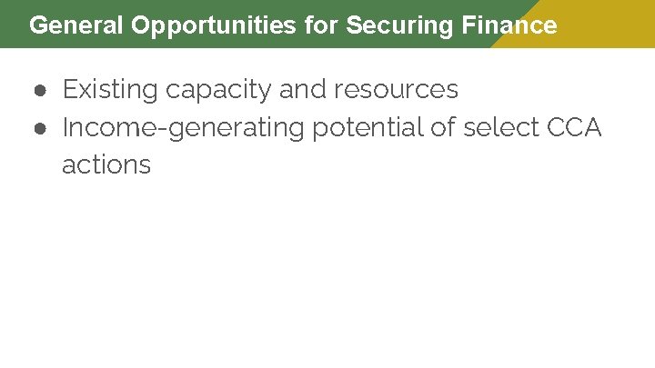 General Opportunities for Securing Finance ● Existing capacity and resources ● Income-generating potential of
