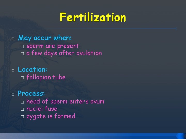 Fertilization � May occur when: � � � Location: � � sperm are present Fertilization � May occur when: � � � Location: � � sperm are present