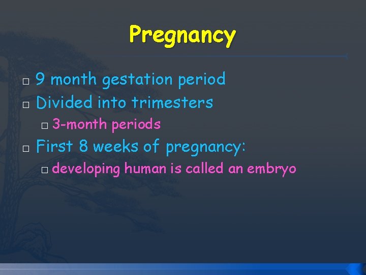 Pregnancy � � 9 month gestation period Divided into trimesters � � 3 -month Pregnancy � � 9 month gestation period Divided into trimesters � � 3 -month