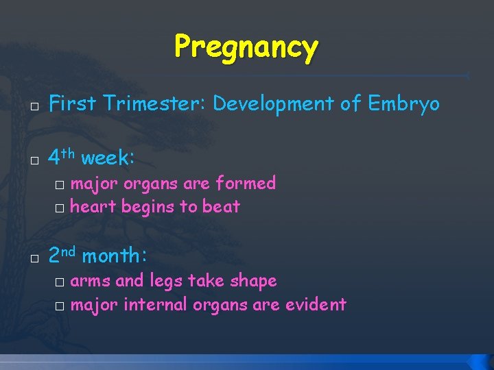 Pregnancy � First Trimester: Development of Embryo � 4 th week: major organs are Pregnancy � First Trimester: Development of Embryo � 4 th week: major organs are