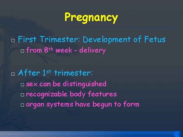 Pregnancy � First Trimester: Development of Fetus � � from 8 th week - Pregnancy � First Trimester: Development of Fetus � � from 8 th week -