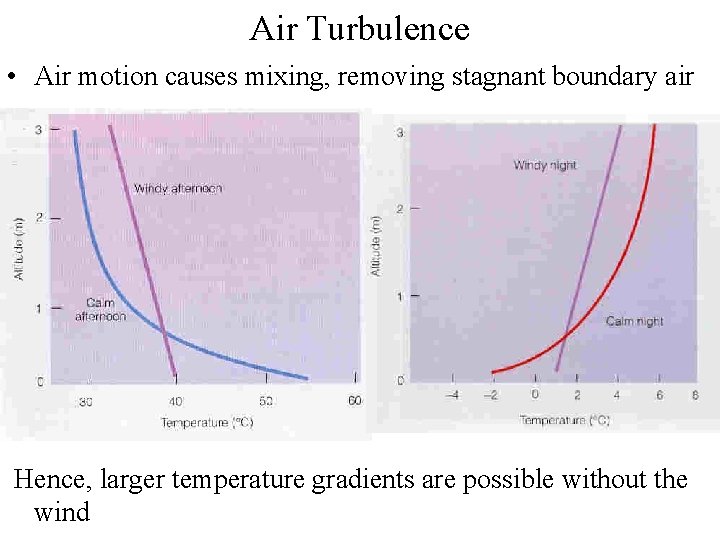 Air Turbulence • Air motion causes mixing, removing stagnant boundary air Hence, larger temperature