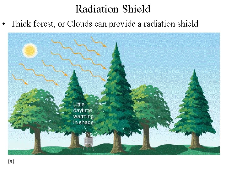 Radiation Shield • Thick forest, or Clouds can provide a radiation shield 