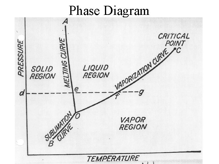 Phase Diagram 