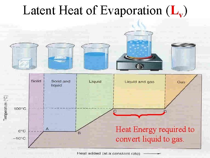 Latent Heat of Evaporation (Lv) Heat Energy required to convert liquid to gas. 