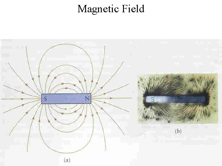 Magnetic Field 