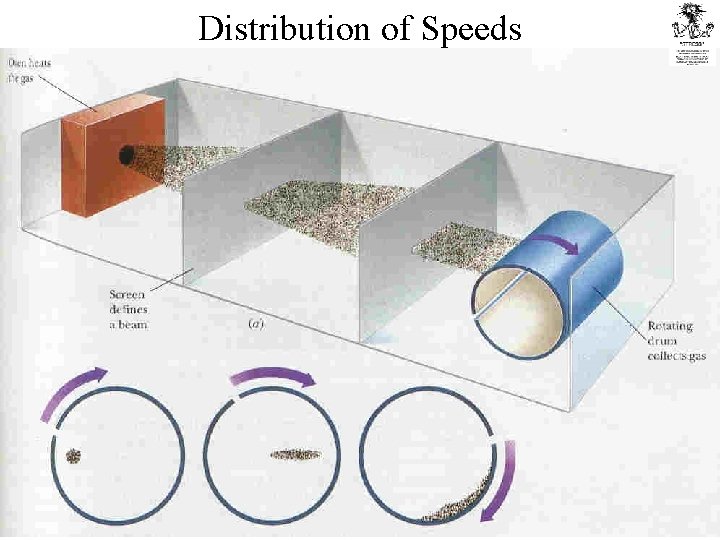 Distribution of Speeds 