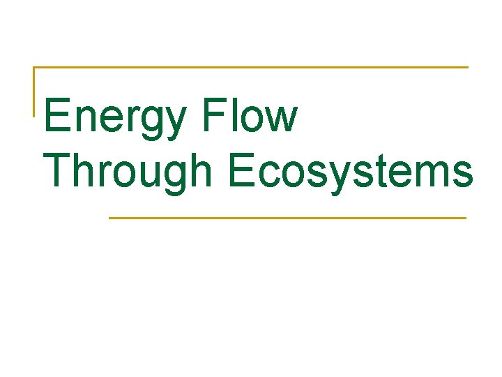 Energy Flow Through Ecosystems 