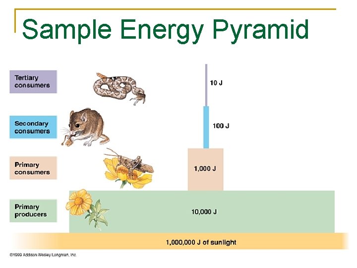 Sample Energy Pyramid 