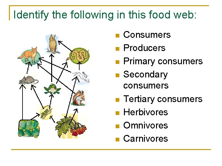 Identify the following in this food web: n n n n Consumers Producers Primary