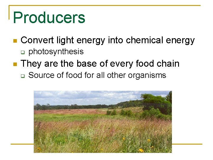 Producers n Convert light energy into chemical energy q n photosynthesis They are the