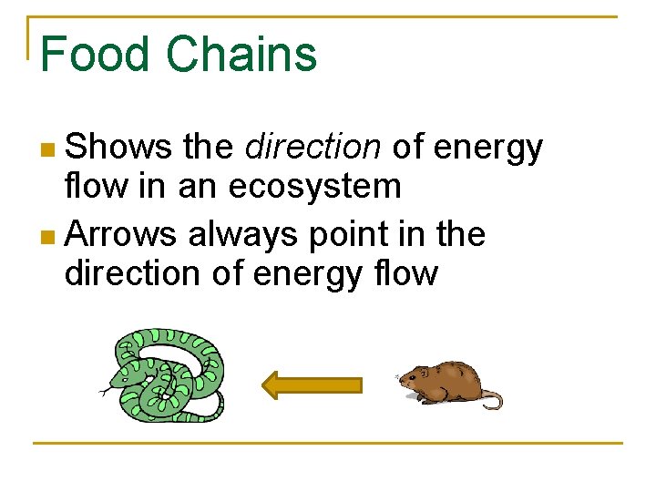 Food Chains n Shows the direction of energy flow in an ecosystem n Arrows