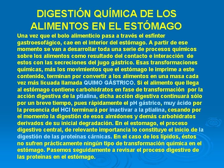 DIGESTIÓN QUÍMICA DE LOS ALIMENTOS EN EL ESTÓMAGO Una vez que el bolo alimenticio