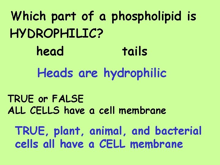 Which part of a phospholipid is HYDROPHILIC? head tails Heads are hydrophilic TRUE or