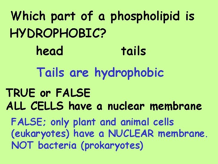 Which part of a phospholipid is HYDROPHOBIC? head tails Tails are hydrophobic TRUE or