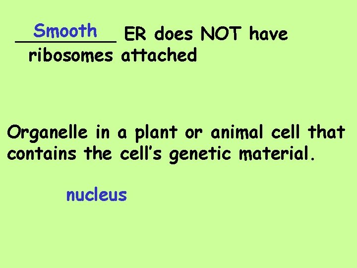 Smooth _____ ER does NOT have ribosomes attached Organelle in a plant or animal