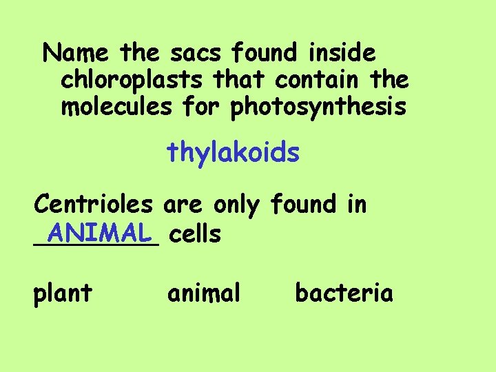 Name the sacs found inside chloroplasts that contain the molecules for photosynthesis thylakoids Centrioles