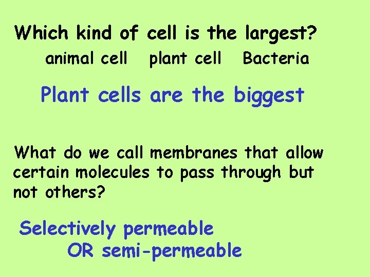 Which kind of cell is the largest? animal cell plant cell Bacteria Plant cells