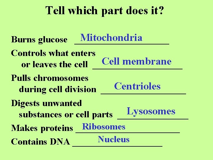 Tell which part does it? Mitochondria Burns glucose __________ Controls what enters Cell membrane