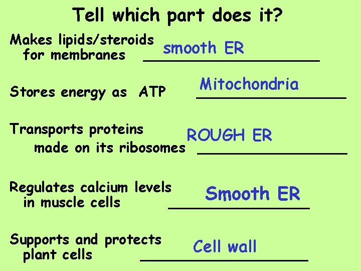 Tell which part does it? Makes lipids/steroids smooth ER for membranes __________ Stores energy