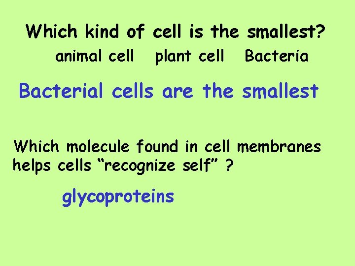 Which kind of cell is the smallest? animal cell plant cell Bacterial cells are