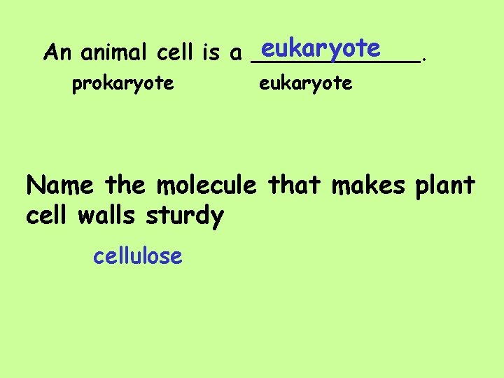 eukaryote An animal cell is a ______. prokaryote eukaryote Name the molecule that makes