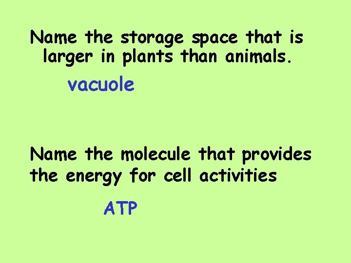 Name the storage space that is larger in plants than animals. vacuole Name the