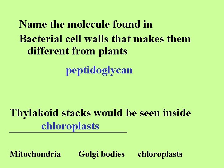 Name the molecule found in Bacterial cell walls that makes them different from plants