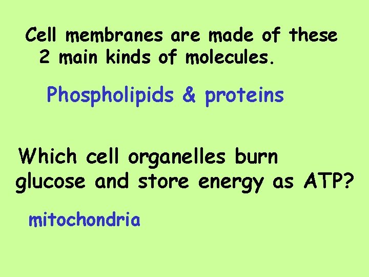 Cell membranes are made of these 2 main kinds of molecules. Phospholipids & proteins