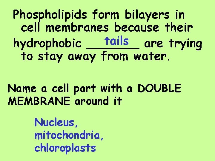 Phospholipids form bilayers in cell membranes because their tails are trying hydrophobic _______ to