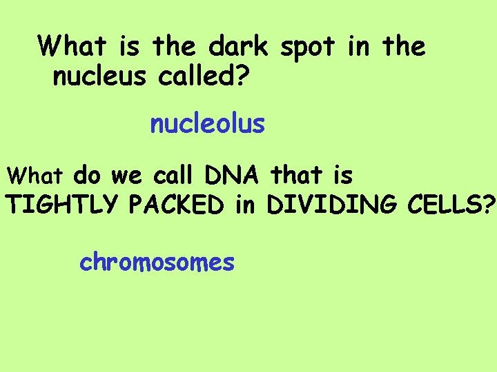 What is the dark spot in the nucleus called? nucleolus What do we call