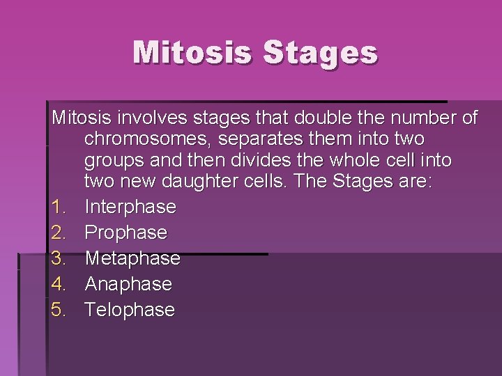 Mitosis Stages Mitosis involves stages that double the number of chromosomes, separates them into Mitosis Stages Mitosis involves stages that double the number of chromosomes, separates them into