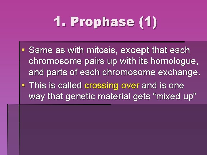 1. Prophase (1) § Same as with mitosis, except that each chromosome pairs up 1. Prophase (1) § Same as with mitosis, except that each chromosome pairs up