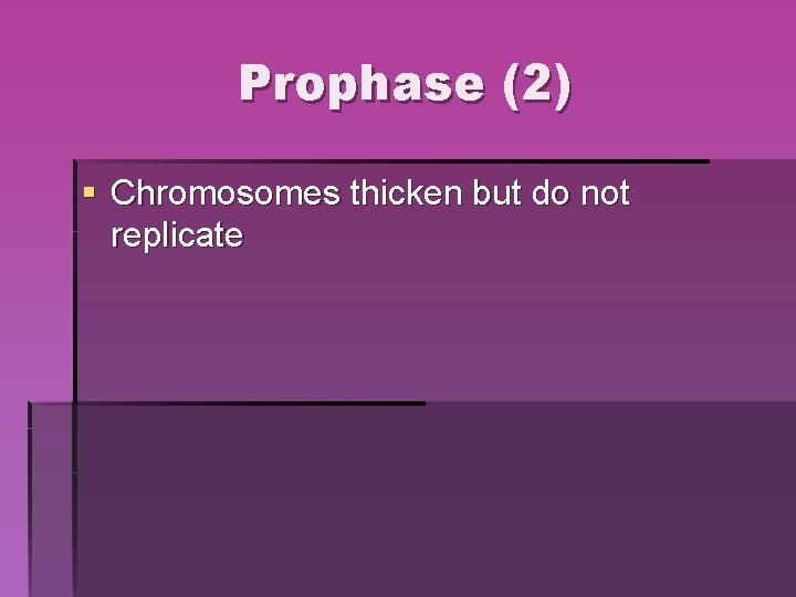 Prophase (2) § Chromosomes thicken but do not replicate Prophase (2) § Chromosomes thicken but do not replicate