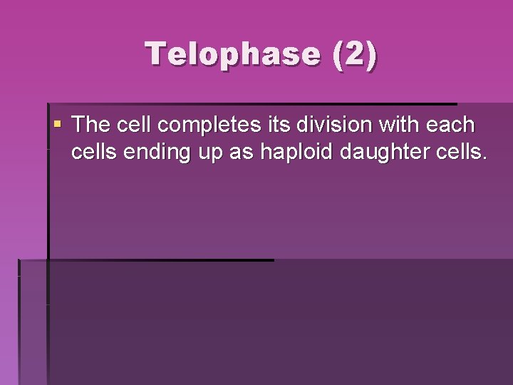 Telophase (2) § The cell completes its division with each cells ending up as Telophase (2) § The cell completes its division with each cells ending up as