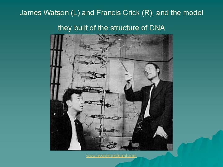 James Watson (L) and Francis Crick (R), and the model they built of the