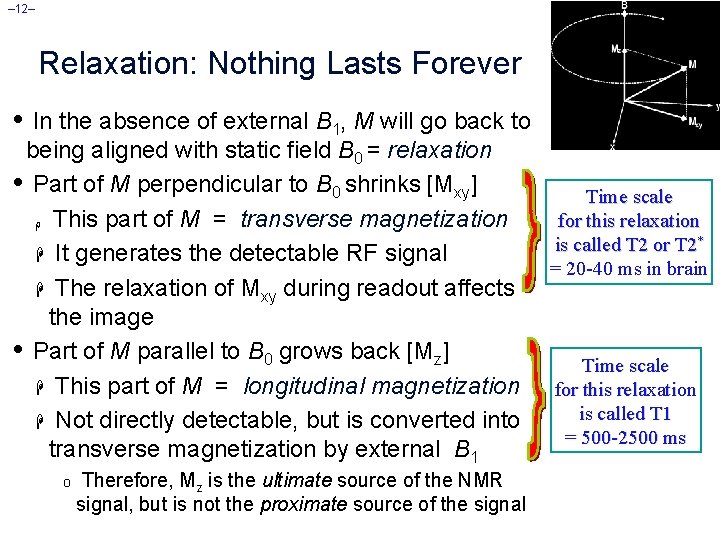 – 12– Relaxation: Nothing Lasts Forever • In the absence of external B 1,