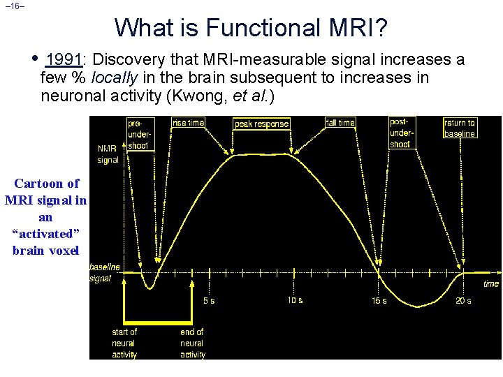 – 16– What is Functional MRI? • 1991: Discovery that MRI-measurable signal increases a