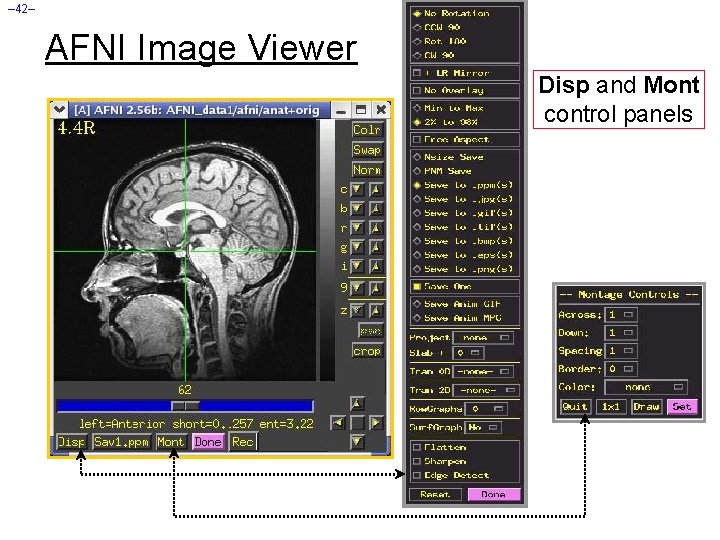 – 42– AFNI Image Viewer Disp and Mont control panels 