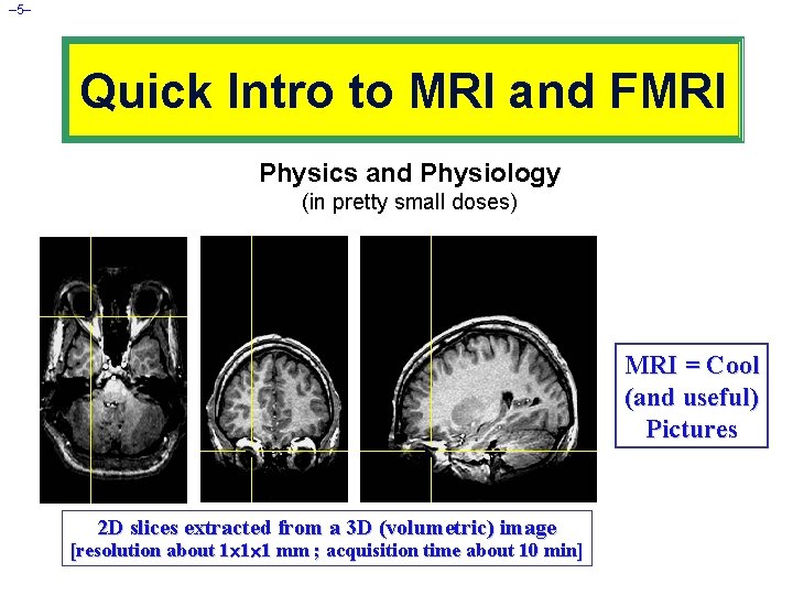 – 5– Quick Intro to MRI and FMRI Physics and Physiology (in pretty small