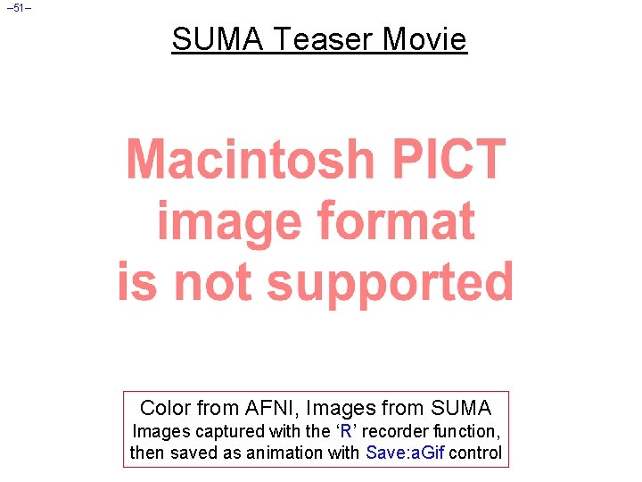 – 51– SUMA Teaser Movie Color from AFNI, Images from SUMA Images captured with