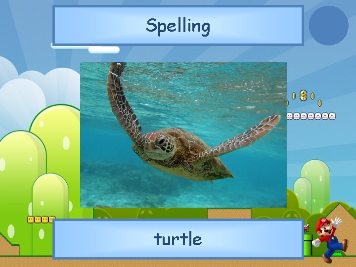 Spelling turtle 