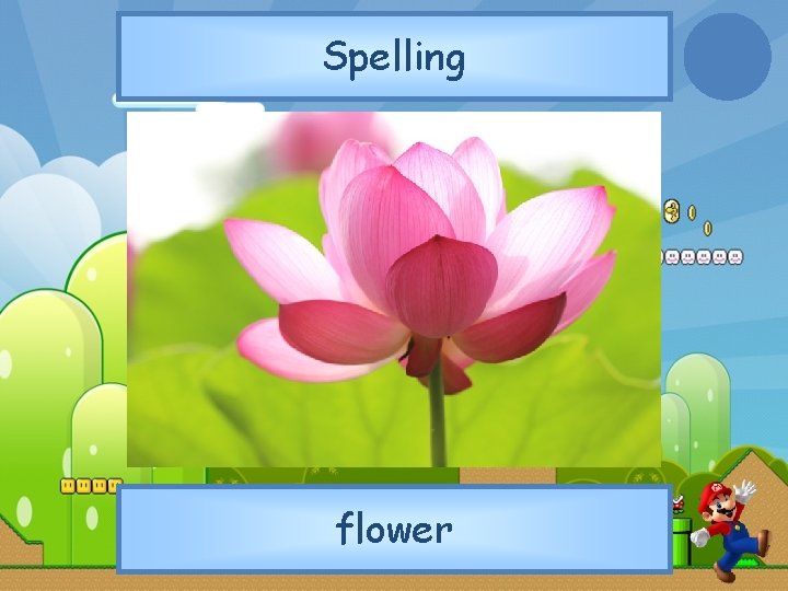 Spelling flower 