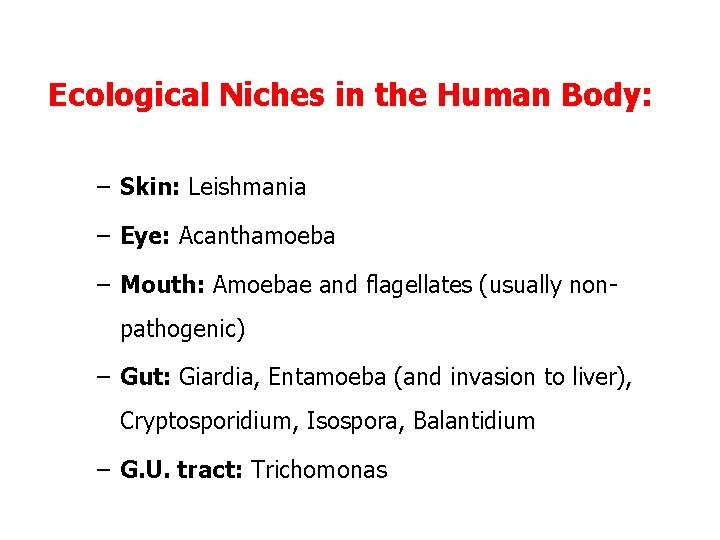 Ecological Niches in the Human Body: – Skin: Leishmania – Eye: Acanthamoeba – Mouth: