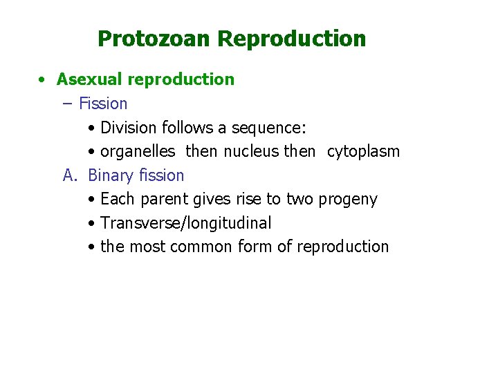 Protozoan Reproduction • Asexual reproduction – Fission • Division follows a sequence: • organelles